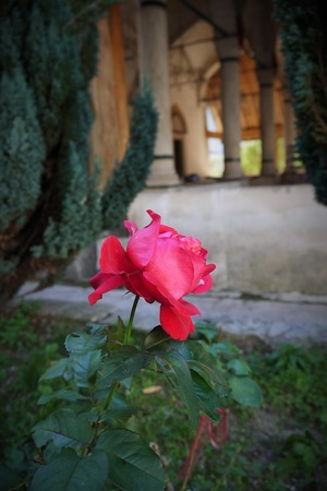 P1160823