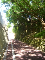 michi