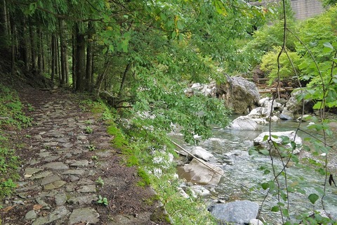 P1060997