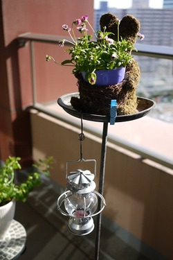 P1220504