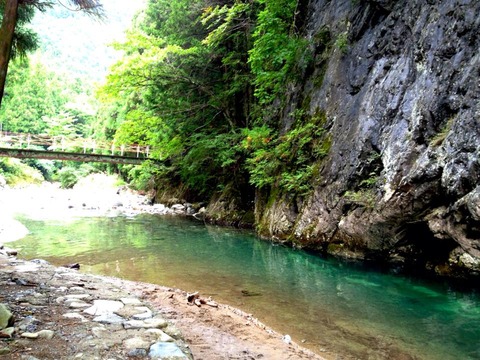 koumori