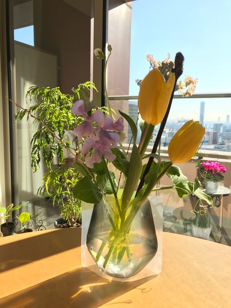 3966B0E1-4539-49B8-A18D-7FA82A885FF2