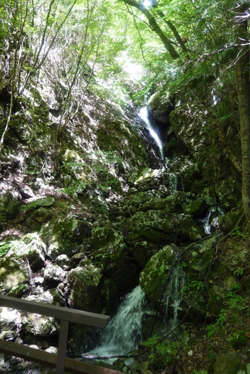 P1060850