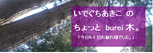 いでぐちあきこ もう一つのBLOGです!