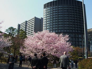 CIMG0439