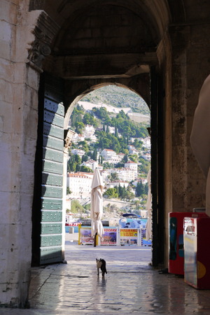 P1160467