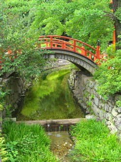 CIMG0049