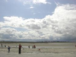 CIMG0082-1