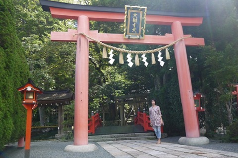 P1060595