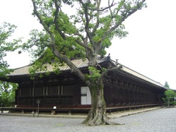 CIMG0028