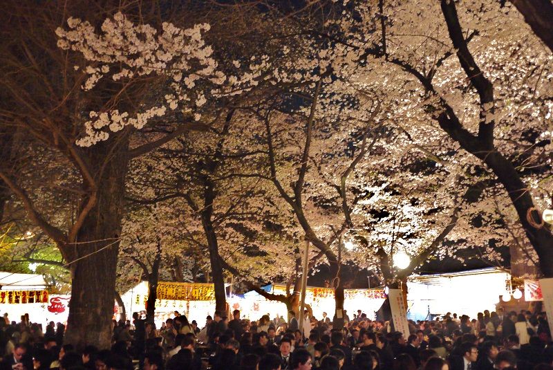 夜桜見物 出店 靖国神社 Fashion Source