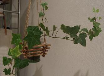 CIMG0108