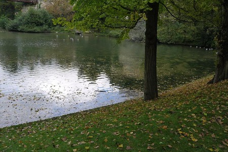 P1070534