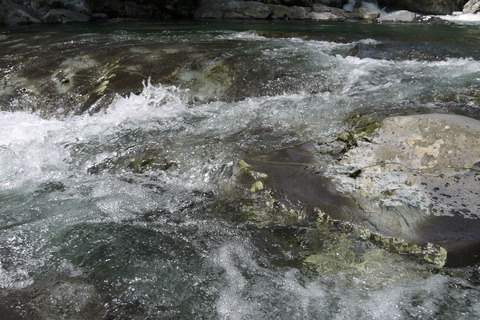 P1060785