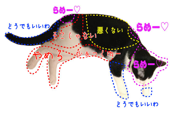 ねこ 猫を喜ばせる触り方をマスターするぞ 話題 猫ねこch 猫の画像 動画 面白記事まで何でもまとめて公開 ねこ 猫を喜ばせる触り方をマスターするぞ 話題 猫ねこch 猫の画像 動画 面白記事まで何でもまとめて公開