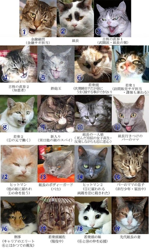 猫_面白_猫ねこch3