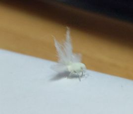 IMG_20200828_223647_1