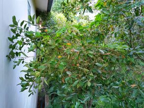 IMG_20190706_180424_1