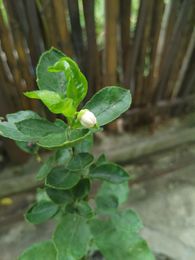 IMG_20210616_150325