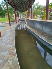 IMG_20201001_142915_1