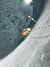 IMG_20201001_142256_1