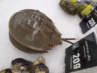 IMG_20191105_115248_1