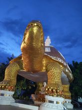 IMG_20190810_190337_1