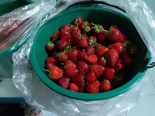 IMG_20210311_014310_1