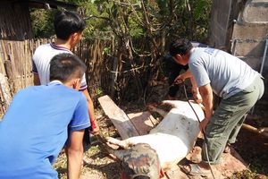 IMG_20190127_130716_1