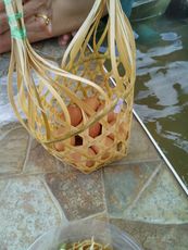 IMG_20201001_143427_1