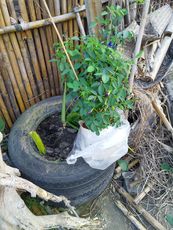 IMG_20210321_175654_1