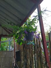 IMG_20210321_172903_1