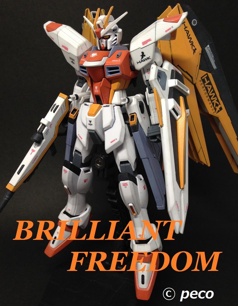 雑談 その いのちのなまえ ガンプラ日和 雑談 その いのちのなまえ ガンプラ日和