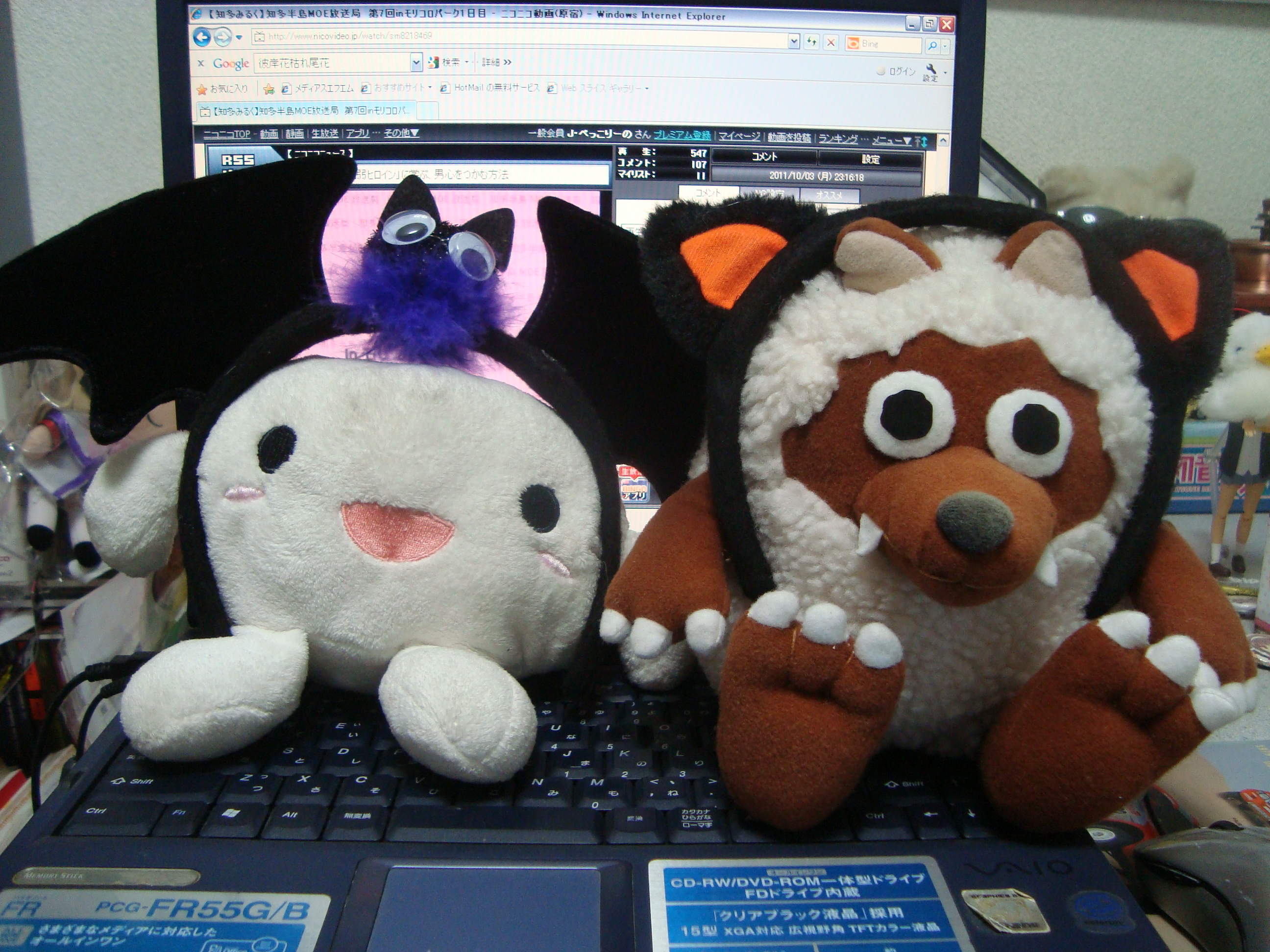 メーテレ 名古屋テレビ のウルフィーが J ぺっこりーのの暇な日常 本音と建て前