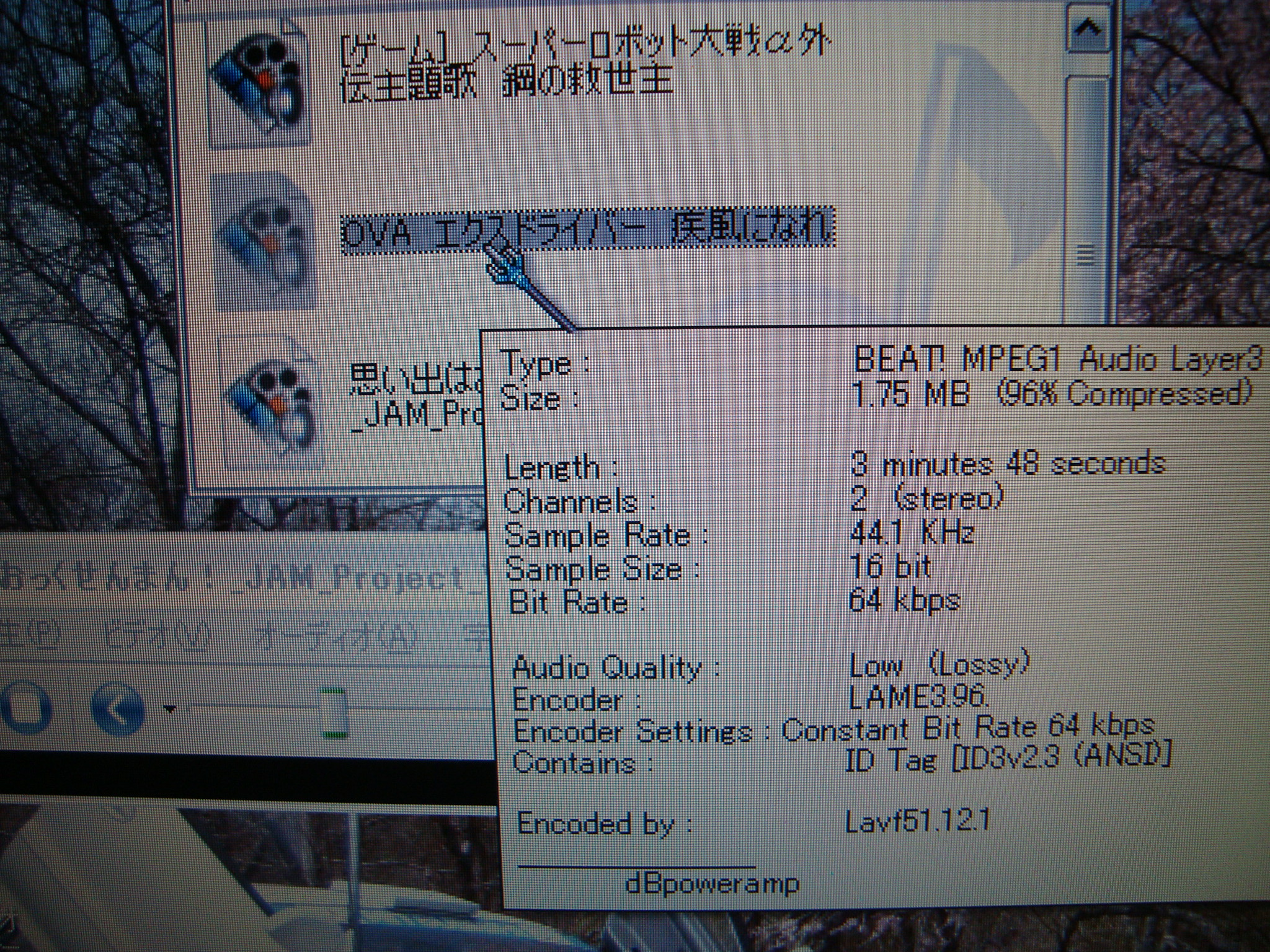 ファイル変換ソフト Batchwoo Wma Mp3へ変換 J ぺっこりーのの暇な日常 本音と建て前