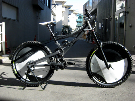 mongoose_01
