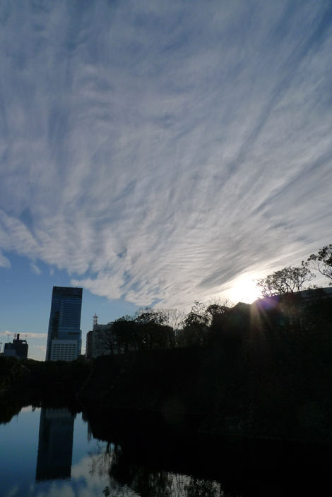 P1200554