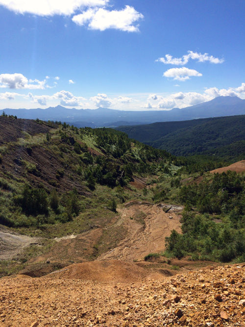 vgt8678p