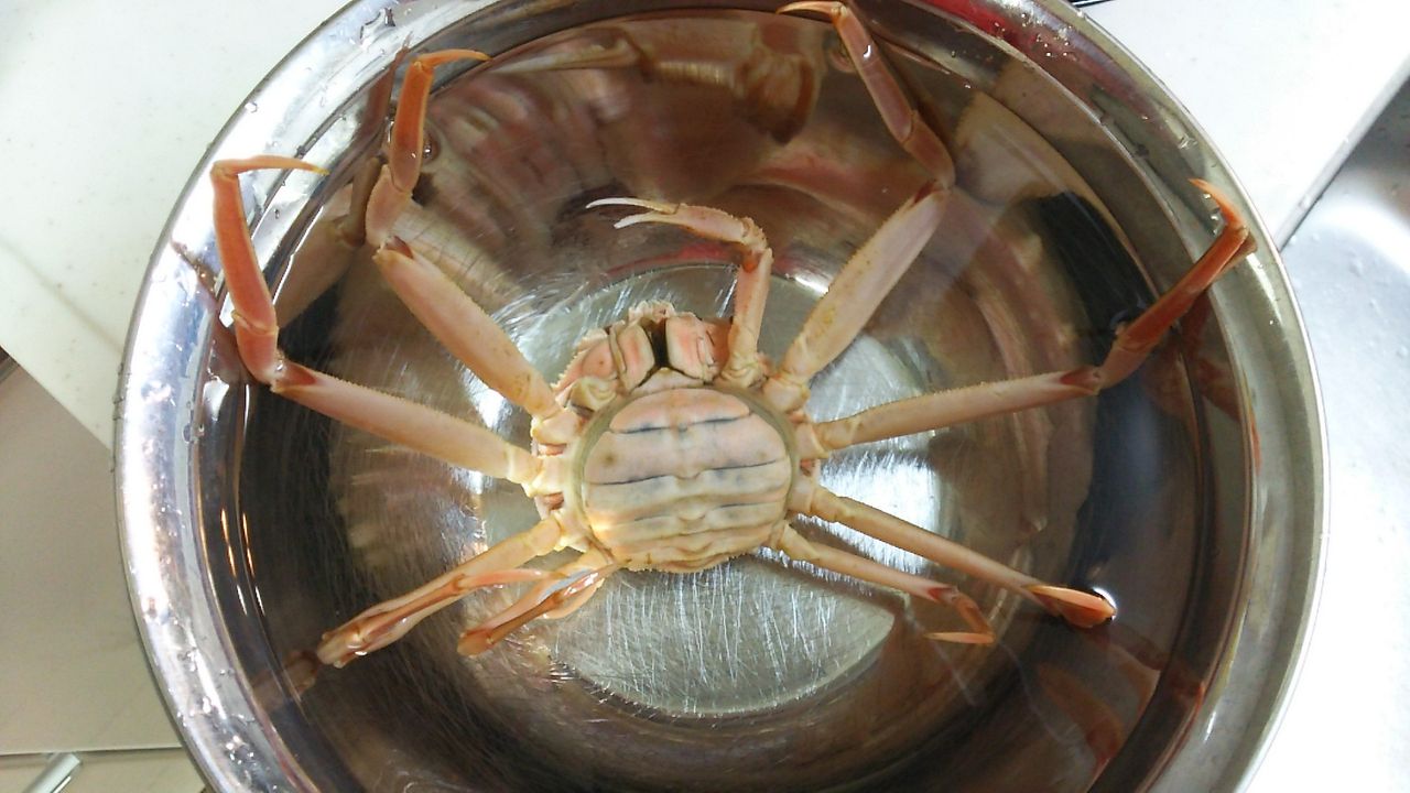 親ガニの食べ方 ズワイガニのメスは炊き込みご飯にするに限る 株式投資しないなんて勿体ない Why Japanese People