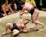 白鵬と朝青龍