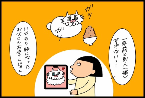 440BEFAE-D572-4924-93E1-A4C9ECE6738A