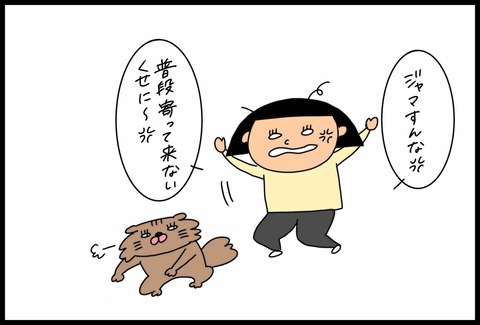 346CCF3A-E606-4583-8F91-D4980BE578C6