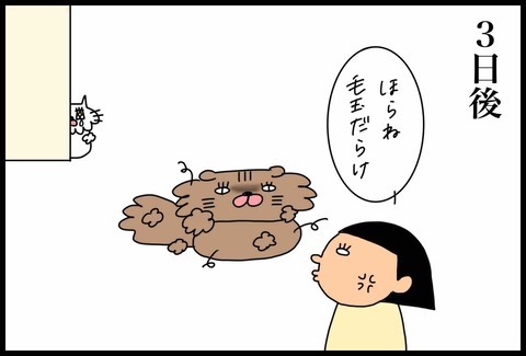 26B1C98F-7907-499E-8C53-57C4B9E2ADFB