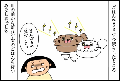 87F94181-8FB0-4F10-9679-BC9377472688