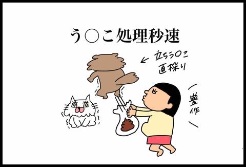 812F381B-49A3-483B-8347-33BF95329D24