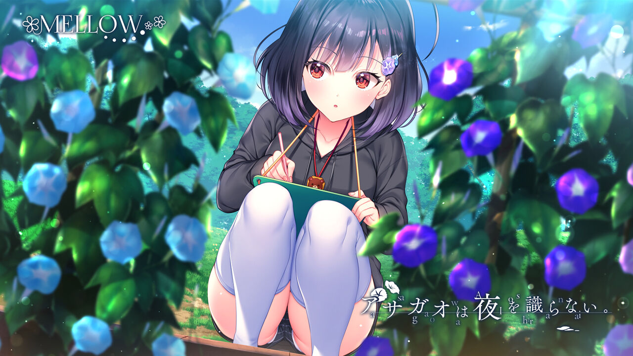 MELLOW アサガオは夜を識らない が神ゲーだった件(感想)！】 : ご注文