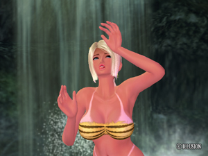 Sexyビーチ3発売 跳べないペガサスの徒然なる日々