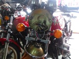 ���N��CB400�������Զ��ϥ�ɥ륹���å������å�260619 (11)