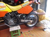 DR250S¤Ä¤¤¤Ë¥â¥¿¡¼¥É»ÅÍÍ (1)