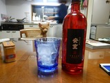 安室と対戦開始